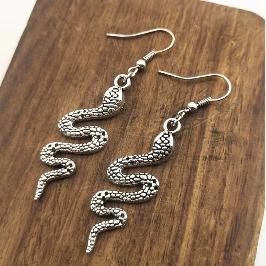 Boucles d'oreilles serpent Cobra, bijou en acier inoxydable argenté